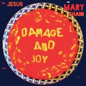 Damage and Joy (Deluxe) artwork