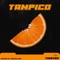 Tampico artwork