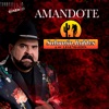 Amándote - Single