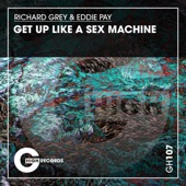 Get up Like a Sex Machine artwork