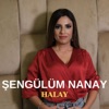 Şengülüm Nanay Halay - Single