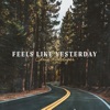 Feels Like Yesterday - Single