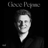 Bedri Islami - Goce Pejane