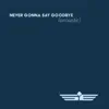 Never Gonna Say Goodbye (Acoustic) - Single album lyrics, reviews, download