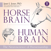 Horse Brain, Human Brain