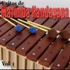 Éxitos de Marimba Nandayapa, Vol.1