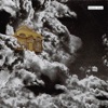 Stolen Cage - Single