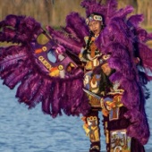 Tribal Gold - Indian Queen