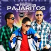 Te Pintaron Pajaritos - Single, 2012