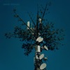 Amore Virtuale - Single