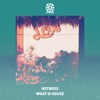 What Is House - Single