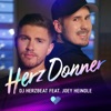 Herz Donner (feat. Joey Heindle) - Single