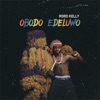 Obodo Edeluwo - Single