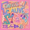 Snakes Alive - It's Fleabite 5, 2021