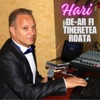 De-Ar Fi Tineretea Roata - Single