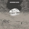 Discovering Silence - Single