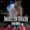 Amores Sin Corazón - Single