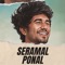 Seramal ponal artwork