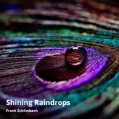 Shining Raindrops artwork