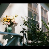 Conflict at Serenity Pools - rosey dream i