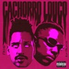 Cachorro Louco - Single