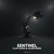 Sentinel artwork