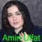 Baghar Lata Na Zandagi Grana Da Mata - Amin Ulfat lyrics