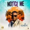 Notice Me artwork