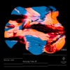 Silvie Loto - Visual