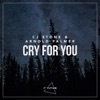 Cry For You - Single