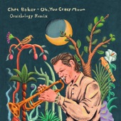 Chet Baker - Oh, You Crazy Moon - Ornithology Remix