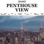 Penthouse View - EP artwork