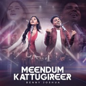 Meendum Kattugireer artwork