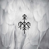 Skugge (First Flight of the White Raven [LIVE]) artwork