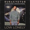 Low Lonely - Single