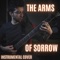 The Arms of Sorrow (Instrumental Cover) artwork