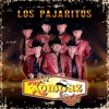 Los Pajaritos - Single