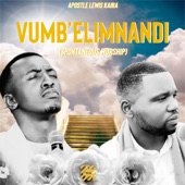 Vumb'elimnandi - Dumi Mkokstad (Powerful Revival worship) artwork