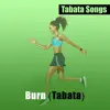 Burn (Tabata) - Single album lyrics, reviews, download