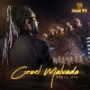 Cruel Malvada - Single