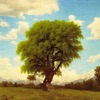 Loneward - Light Blossom