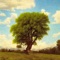 Enveloped by Beauty cover
