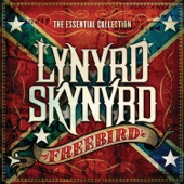 Lynyrd Skynyrd - Comin' Home