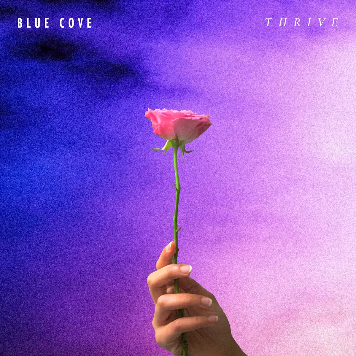 Blue Cove - Thrive (2023) [iTunes Plus AAC M4A]-新房子