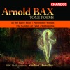 BBC Philharmonic Orchestra - Sinfonietta, "Symphonic Phantasy": III. Allegro