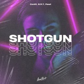Shotgun artwork