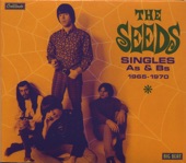 The Seeds - Try To Understand