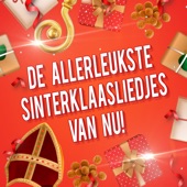 De Allerleukste Sinterklaasliedjes Van Nu artwork