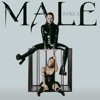 Male - Single