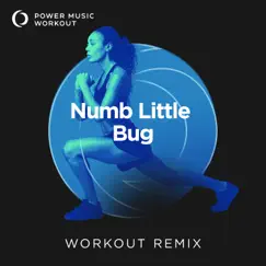 Numb Little Bug (Extended Workout Remix 128 BPM) Song Lyrics